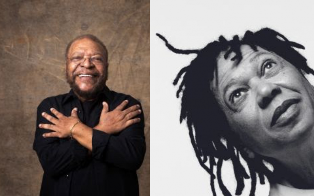 Martinho da Vila e Djavan foram destaque no Prêmio da Música Brasileira 2023