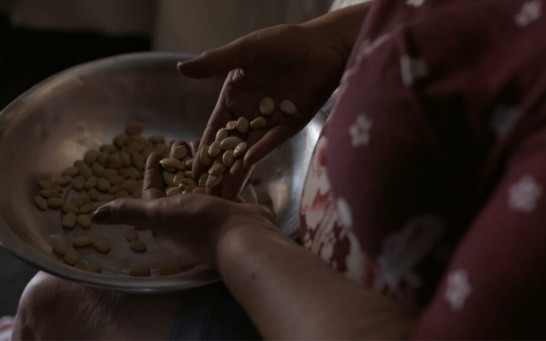 Curta-metragem “Comida de Quintal”, de Luisa Macedo, estreia na Spcine Play