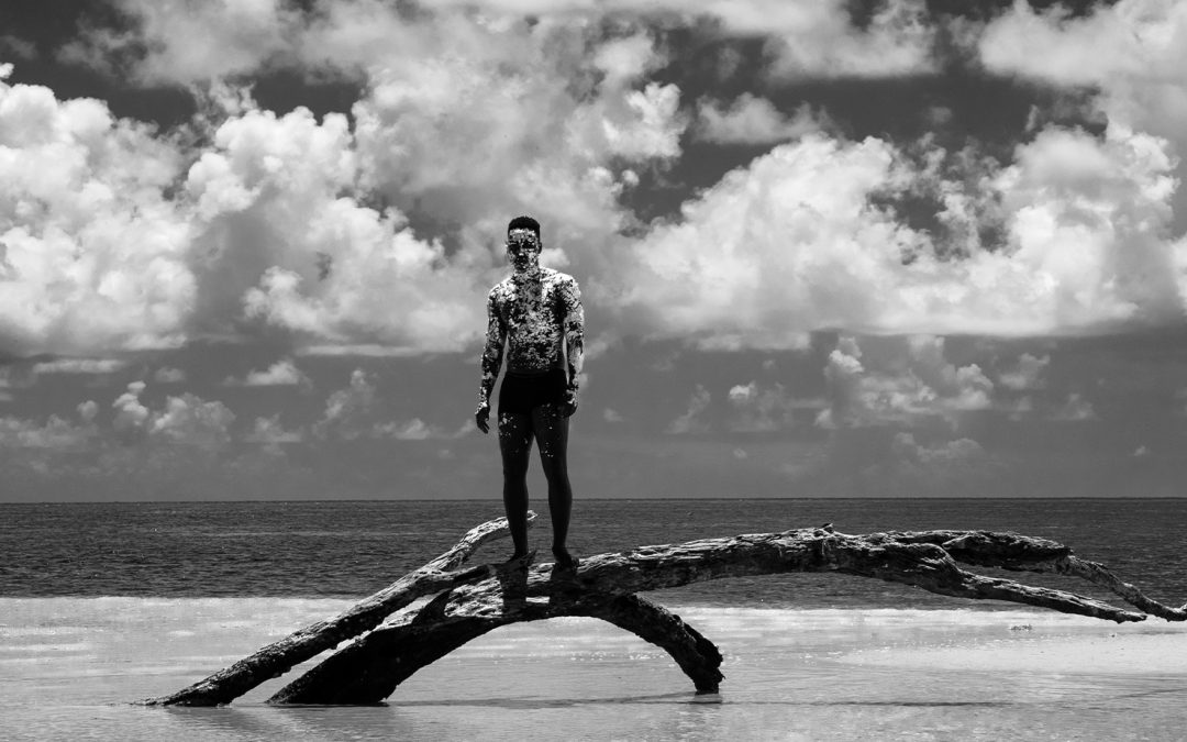 Exposição “A Luz da Beleza” chega na Biblioteca Mário de Andrade