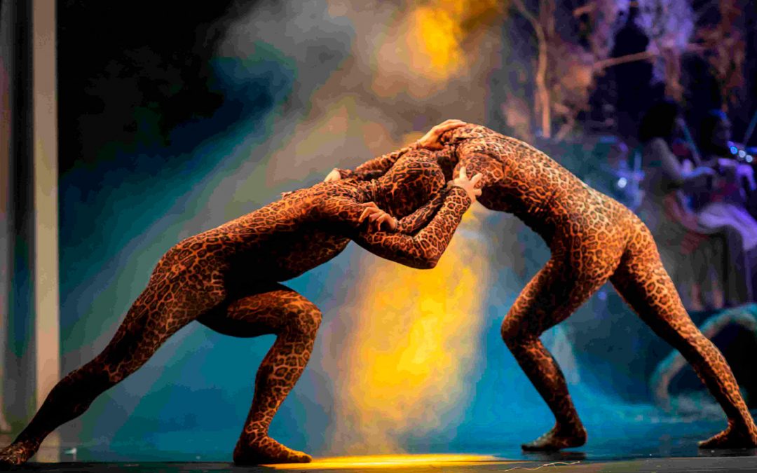 Companhia de Dança do Pantanal e Orquestra de Câmara do Pantanal fazem turnê inédita por São Paulo